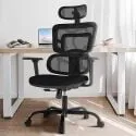 Gtpoffice Ergonomic Office Chair with 4D Arms