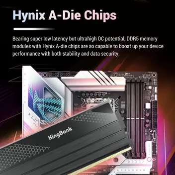 KingBank Hynix M-die DDR5 48GB(2x24GB) 6800MT/s CL34