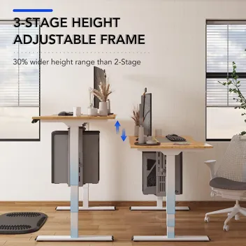 Flexispot Dual Motor Pro 3 Stages Electric Standing Desk Frame