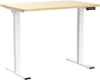 Flexispot Dual Motor Pro 3 Stages Electric Standing Desk Frame