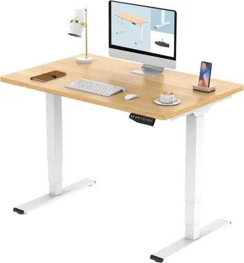 Flexispot Dual Motor Pro 3 Stages Electric Standing Desk Frame