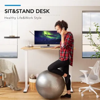 Flexispot Dual Motor Pro 3 Stages Electric Standing Desk Frame