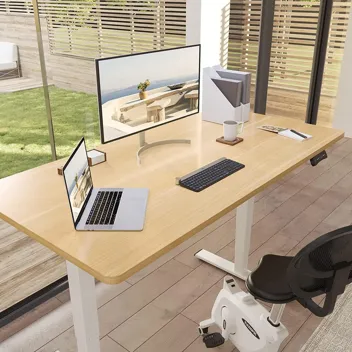 Flexispot Dual Motor Pro 3 Stages Electric Standing Desk Frame