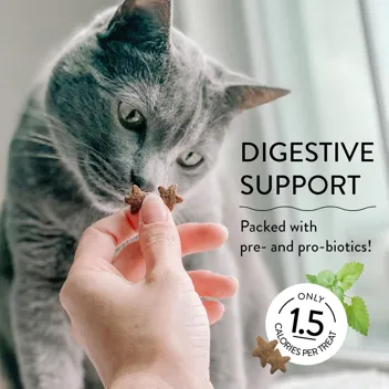 Shameless Pets Digestive Health Catnip Chicken Crunchy Cat Treats