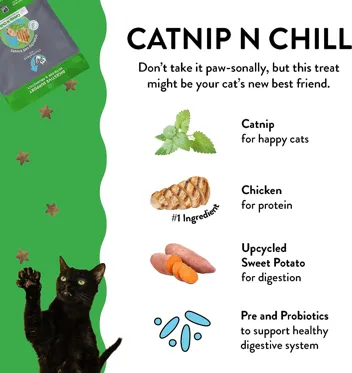 Shameless Pets Digestive Health Catnip Chicken Crunchy Cat Treats