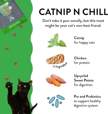 Shameless Pets Digestive Health Catnip Chicken Crunchy Cat Treats