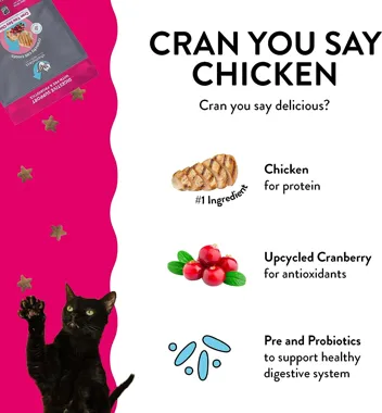 Shameless Pets Digestive Health Catnip Chicken Crunchy Cat Treats