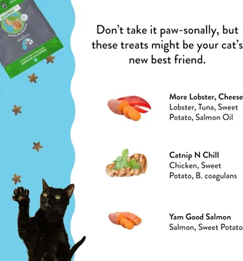 Shameless Pets Digestive Health Catnip Chicken Crunchy Cat Treats