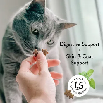 [S&S]: 2.5-Oz Digestive Health Catnip Chicken Crunchy Cat Treats