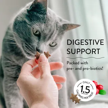 Shameless Pets Digestive Health Catnip Chicken Crunchy Cat Treats