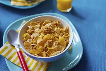 Honey Bunches of Oats with Strawberries Breakfast Cereal