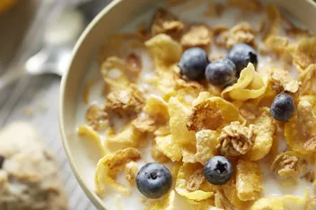 Honey Bunches of Oats with Strawberries Breakfast Cereal