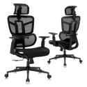 Lvvezin Ergonomic Mesh Home Office Chair w/ Lumbar Support & Flip-up Armrests