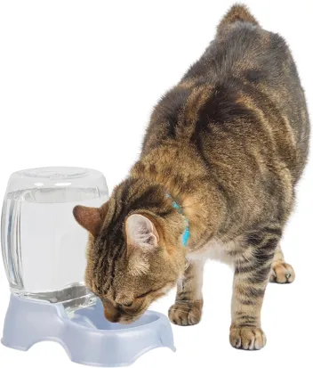 Pet Cafe Waterer Cat and Dog Water Dispenser