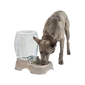 Pet Cafe Waterer Cat and Dog Water Dispenser