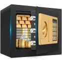 Tntants 0.5cu ft Electric Digital Safe Box