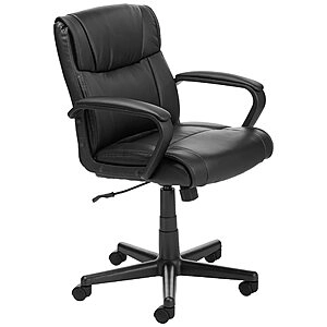 Padded Office Desk Chair with Armrests