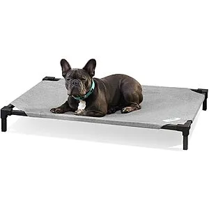 41" x 27.5" Coolaroo Pet Bed PRO Elevated Pet Bed (Medium, Steel)