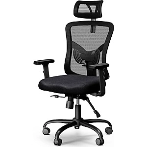 NOBLEWELL Office Chair, Desk Chair with 2'' Adjustable Lumbar Support