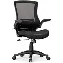 iCoudy Ergonomic Mid Back Mesh Office Chair w/ Lumbar Support & Flip-Up Armrests