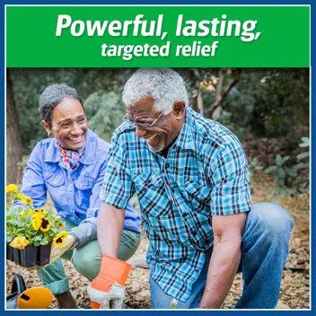 2.83"x1.81" Pain Relieving Patch (60-Count)