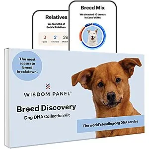 Panel Breed Discovery Dog DNA Kit