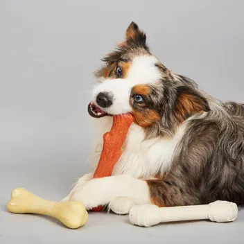 Dog Chew Toy (Large)