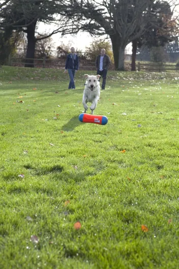 Chuckit! Amphibious Tumble Bumper Dog Toy