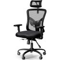 Noblewell Meshback Lumbar Support Ergonomic Office Chair with Headrest