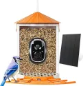 Birdkiss Solar 1080p Camera Smart Bird Feeder