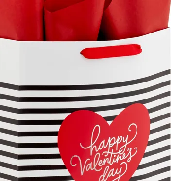 13" Large Valentine's Day Gift Bags with Tissue Paper (2 Bags)