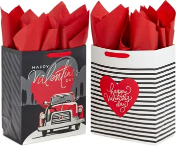 13" Large Valentine's Day Gift Bags with Tissue Paper (2 Bags)