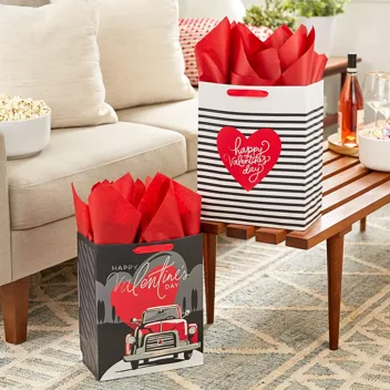 13" Large Valentine's Day Gift Bags with Tissue Paper (2 Bags)