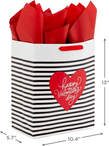 13" Large Valentine's Day Gift Bags with Tissue Paper (2 Bags)