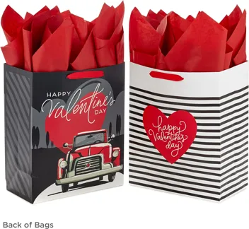 13" Large Valentine's Day Gift Bags with Tissue Paper (2 Bags)