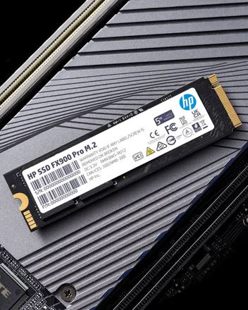 FX900 Pro 1TB NVMe with R/W (MB/s) of 7400/6700, and DRAM