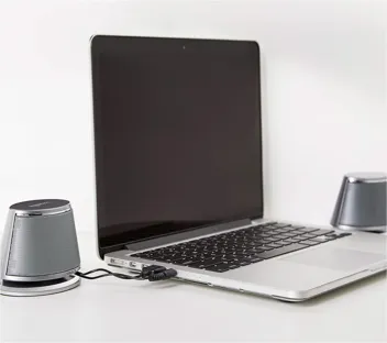 USB Plug-n-Play Computer Speakers