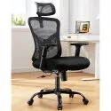 Huanuo High Back Ergonomic Lumbar Support Mesh Back Office Chair (HNOC9)