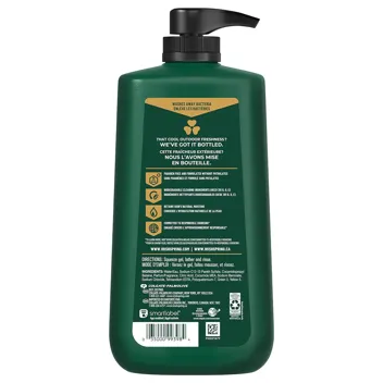 Irish Spring 5 in 1 Body Wash , 30 Oz Pump