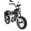 Hover-1 Pro Series Alti R500/R750 500W Motor Fat Tire Electric Bicycle (Up to 28mph)