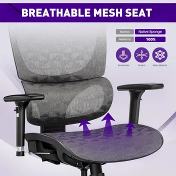 Actfull Ergonomic Mesh Back Office Chair with Lumbar Support & Headrest