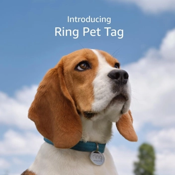 Ring Pet Tag