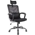 Smug Ergonomic Mesh Home Office Computer Chair w/ Lumbar Support & Headrest (Black)