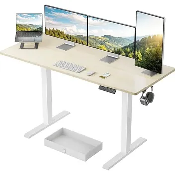 Marsail 55x24" Height Adjustable Electric Standing Desk with Drawer