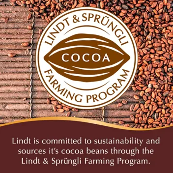 14.7oz Gourmet Chocolate Truffles Gift Box