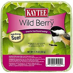 Wild Berry High Energy Bird Suet, 11.75 Oz