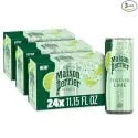 Maison 11.15oz Forever Lime Flavored Sparkling Water