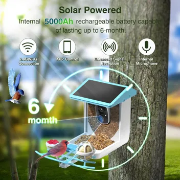 Petcal 1296p AI Identifying Smart Solar Bird Feeder