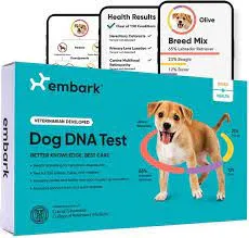 Embark Breed Identification & Health Condition Identification DNA Test for Dogs