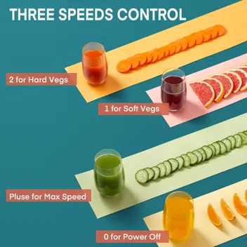 800W 3-Speed Juicer Machines